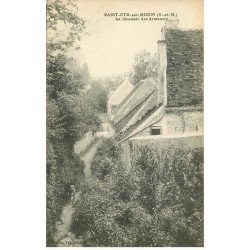 carte postale ancienne 77 SAINT-CYR-SUR-MORIN. Chien sur la descente des Armenats