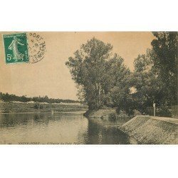 carte postale ancienne 77 SEINE-PORT. L'Entrée du Petit Bras 1908