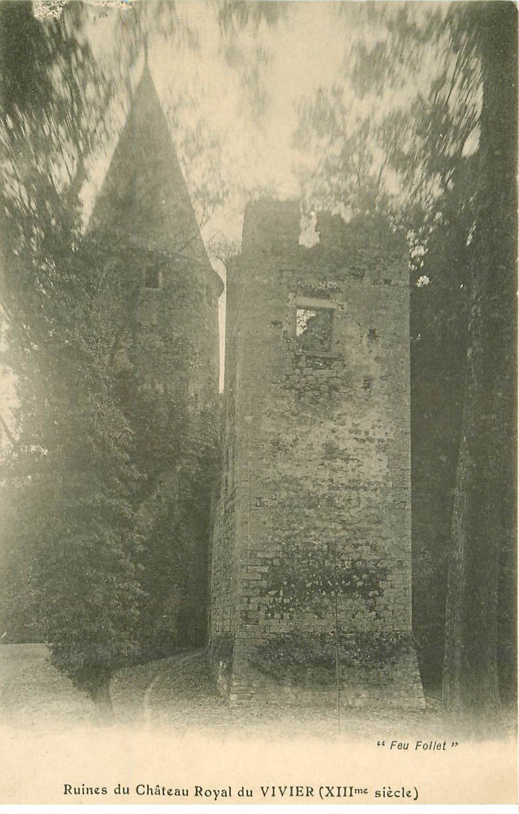 carte postale ancienne 77 VIVIER. Ruines du Château Royal