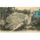 carte postale ancienne 77 NEMOURS. Rocher Beauregard. La Tortue