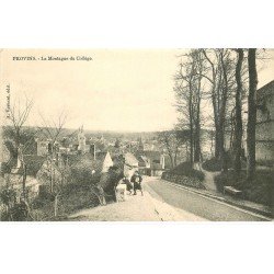 carte postale ancienne 77 PROVINS. Ecoliers sur la Montagne du Collège vers 1900