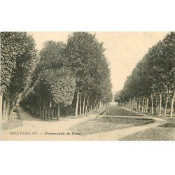 carte postale ancienne 77 MONTEREAU. Promenade de Noue vers 1905