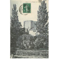 carte postale ancienne 77 MORET-SUR-LOING. Donjon du Château