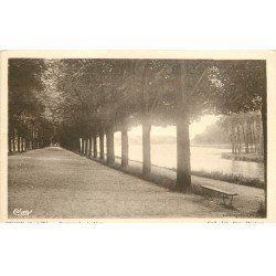 carte postale ancienne 77 MELUN. Promenade de Vaux