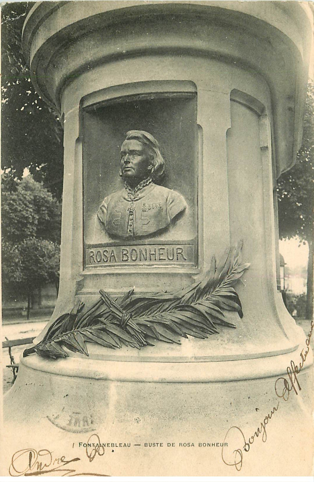 Rosa bonheur 77