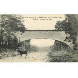 carte postale ancienne 77 FONTAINEBLEAU. Chasse à Courre. Le Cerf traversant une Route