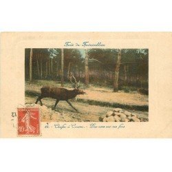 carte postale ancienne 77 FONTAINEBLEAU. Chasse à Courre. Dix cors sur sa fin 1912. Chiens, Chasse et Chasseurs