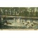 carte postale ancienne 77 FONTAINEBLEAU. Chasse à Courre. Bat l'eau. Carte toilée Chiens et Cerf