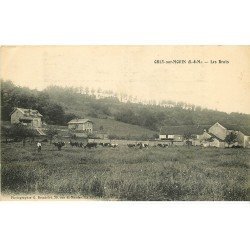 carte postale ancienne K. 77 ORLY-SUR-MORIN. Les Bruts Paysan et troupeau de Vaches