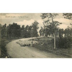 carte postale ancienne K. 77 BALLOY. Troupeau de Moutons au Pont du Canal