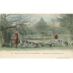 carte postale ancienne K. 77 FONTAINEBLEAU. Chasse à Courre. Chiens prenant l'eau dans une Mare