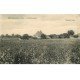 carte postale ancienne K. 77 CHALMAISON. Vue panoramique