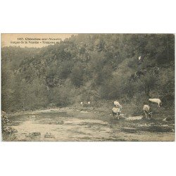 carte postale ancienne 23 CHAMBON-SUR-VOUEIZE. Troupeau de Vaches au Pâturage