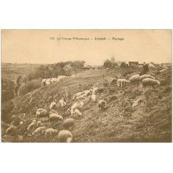 carte postale ancienne 23 CROZANT. Troupeau de Moutons et Berger