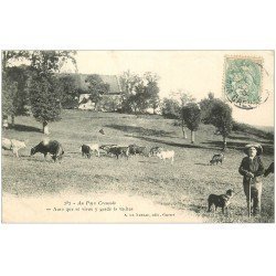 23 LA CREUSE. Paysan et troupeau de Vaches 1906