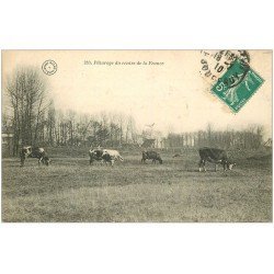 carte postale ancienne 23 LA CREUSE. Vaches au Pâturage centre de la France 1910
