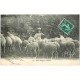 23 TYPES CREUSOIS. Petite Bergère Creusoise ave Moutons 1913