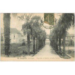 carte postale ancienne 24 BERGERAC. Allée de Palmiers du Jardin Perdoux 1917