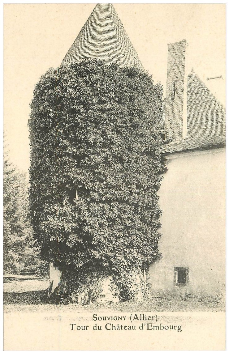 carte postale ancienne 03 SOUVIGNY. Tour du Château d'Embourg