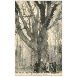 carte postale ancienne 03 TRONCAIS. Arbre. Le Bouquet géant de la Forêt