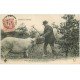 carte postale ancienne 03 Un Cochon chercheur de Truffes 1909