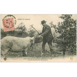 carte postale ancienne 03 Un Cochon chercheur de Truffes 1909