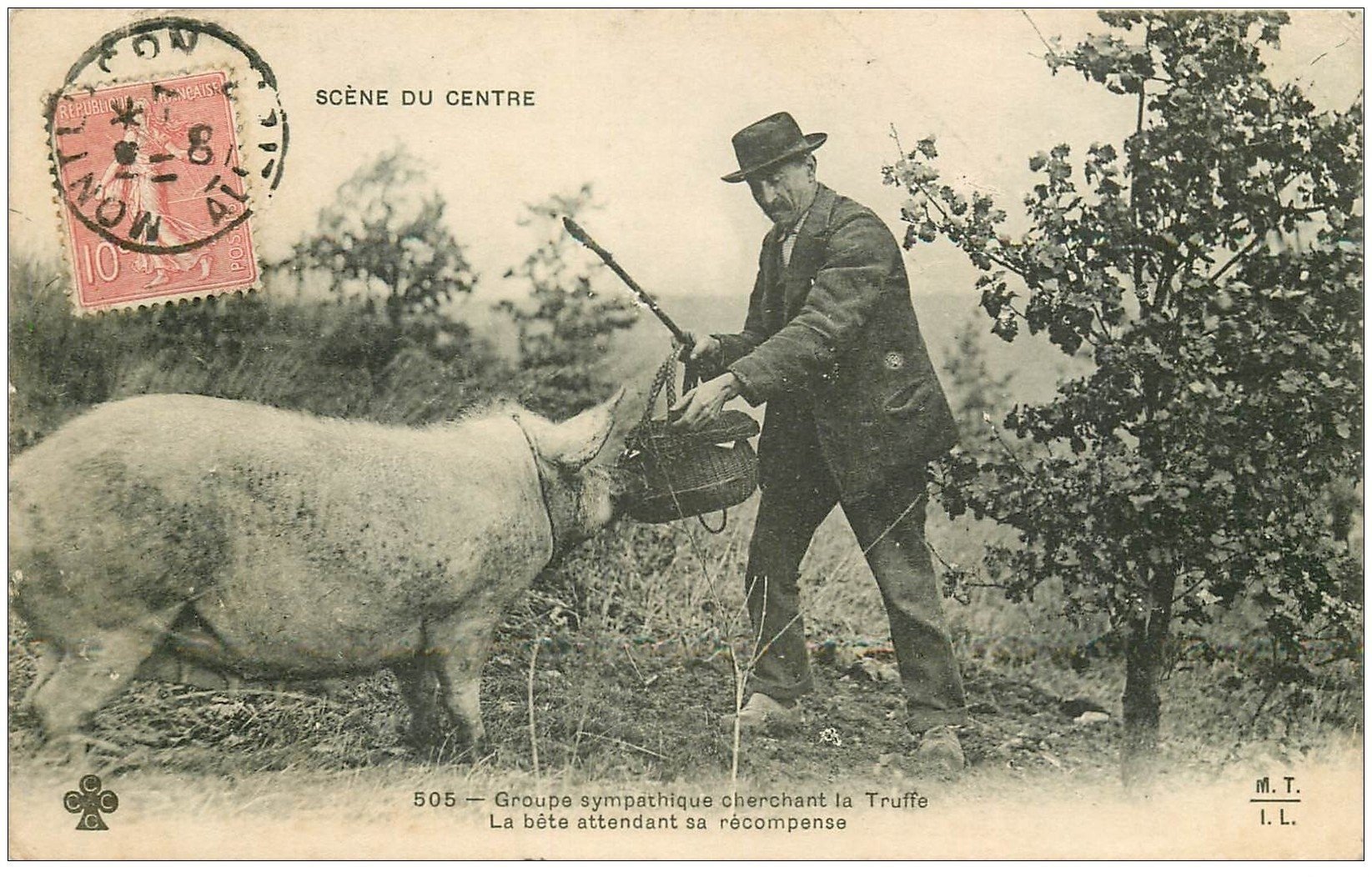 carte postale ancienne 03 Un Cochon chercheur de Truffes 1909