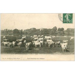 carte postale ancienne 03 Vaches dans les Prairies de l'Allier (carte gondolée)...