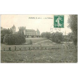 carte postale ancienne 28 AUNEAU. Le Château 1909. Enfants perchés sur les arbres