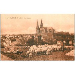 carte postale ancienne 28 CHARTRES. Pâtre et troupeau de Moutons 1922