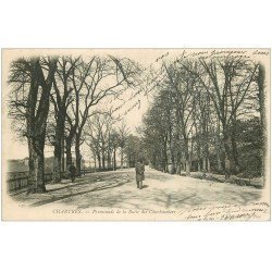 carte postale ancienne 28 CHARTRES. Promenade Butte Charbonniers 1903
