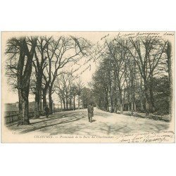 carte postale ancienne 28 CHARTRES. Promenade Butte Charbonniers 1903