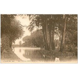 carte postale ancienne 28 CHATEAU D'ANET. L'Ile des Cygnes et Cascade