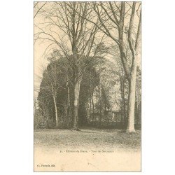 carte postale ancienne 28 CHATEAU DE DREUX. Tour des Souvenirs vers 1900