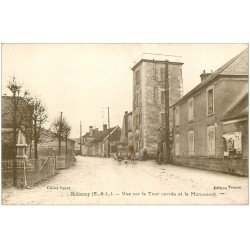 carte postale ancienne 28 CHATENAY. Tour Carrée et Monument