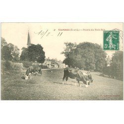 carte postale ancienne 28 COURTALAIN. Vaches Prairie des Trois Rois 1911