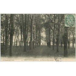 carte postale ancienne 28 CRECY-COUVE. Place des Marronniers 1907