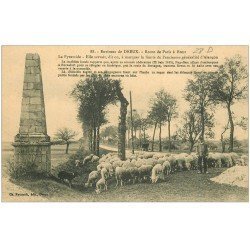 28 DREUX. Route de Paris à Brest. Troupeau de Moutons