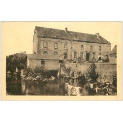 carte postale ancienne 28 ILLIERS. Moulin de la Billanche avec Vaches