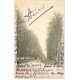 carte postale ancienne 28 LA FERTE-VIDAME. Les Promenades 1902