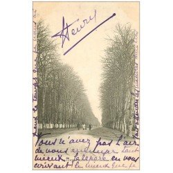 carte postale ancienne 28 LA FERTE-VIDAME. Les Promenades 1902