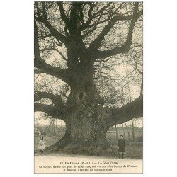 carte postale ancienne 28 LA LOUPE. Le Gros Chêne avec Enfants