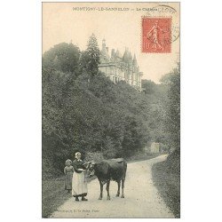 28 MONTIGNY-LE-GANNELON. Le Château 1907. Fermière et Vache