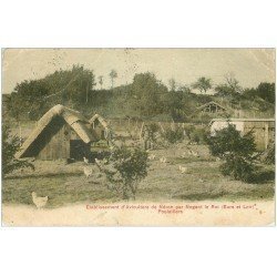 carte postale ancienne 28 NERON. Etablissement d'Avoculture. Poulaillers 1911
