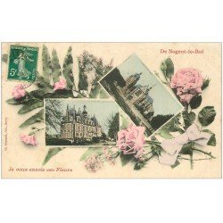carte postale ancienne 28 NOGENT-LE-ROI. Fantaisie vers 1909