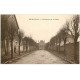 carte postale ancienne 28 SAINVILLE. Avenue de la Gare