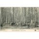 carte postale ancienne 28 SENONCHES. Vaches en Forêt