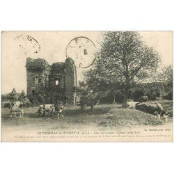 carte postale ancienne 28 TREMBLAY LE VICOMTE. Tour du Château. Fermiers et Vaches 1923