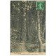carte postale ancienne 28 VILLEMEUX. Promeneur Allée des Sapins 1913