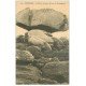 carte postale ancienne 29 BRIGNOGNAN. Rocher Tremblant Champignon